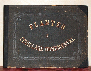 Les Plantes Ornementales. Feuillage Panache & Co...