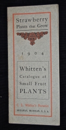 Strawberry Plants that Grow. Whitten's Catalogue...